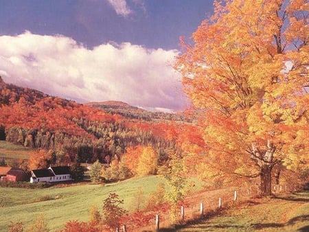 Beauty of Autumn - house, forest, mountain, autumn colours