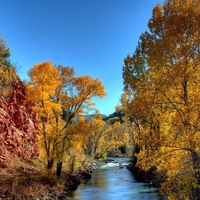 Mountain Stream