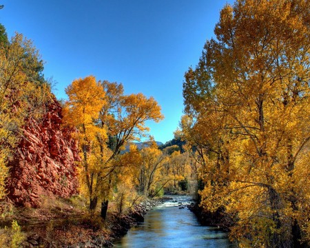 Mountain Stream - stream, autumn leaves, forest, mountain