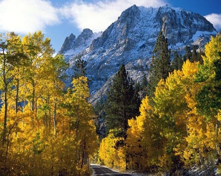 Winding Road - forest, mountains, roadway, autumn colours, snow