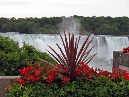 Falls and flowers - flowers, falls