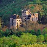 Castle in the forest