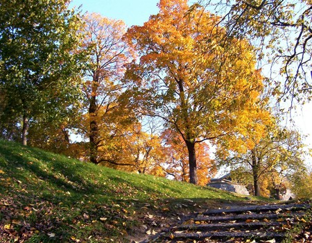 Autumn - nature, autumn