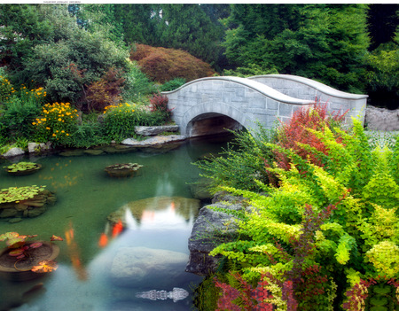 The Wishing Bridge - niagra falls, koi, wallpaper, water, bridge, walking bridge, pond, plants, ontario, fish, trees, park