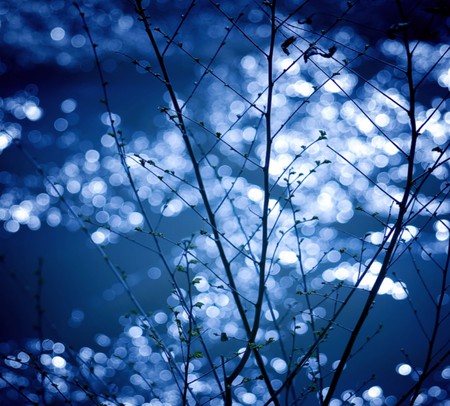 Shimmering - nature, blue