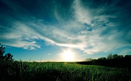 field sunset - cool, field, fun, sunset, nature