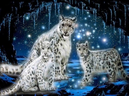 SNOW LEOPARD FAMILY - SNOW, SKY, LEOPARDS, FAMILY, NIGHT, CAVE, STARS