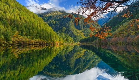 Autumn Lake - calm, clouds, branches, beautiful, snowy peaks, blue sky, forest, reflection, leaves, fall, lake, mountains