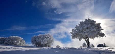 Winter - clouds, trees, winter, snowy, snow, landscape, winter time, nature, sky