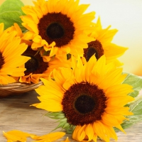 Sunflowers