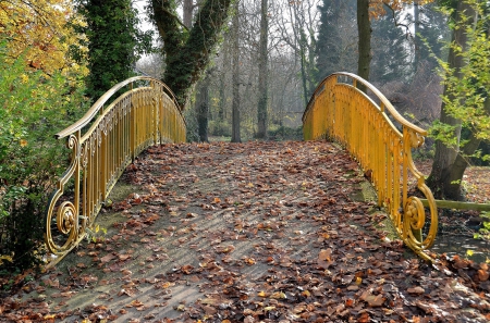 * Small bridge in the park * - trees, nature, park, bridge