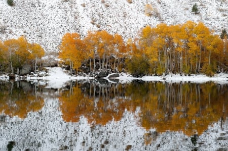 * Mirroring ... * - lake, trees, nature, snow, autumn