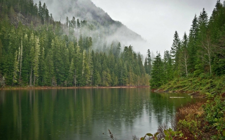 lake - nature, fun, lake, cool, mountain, forest