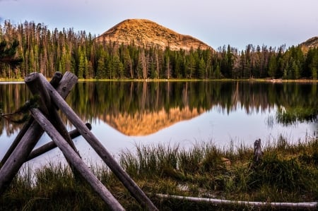 * Little lake * - lake, forest, nature, mountain