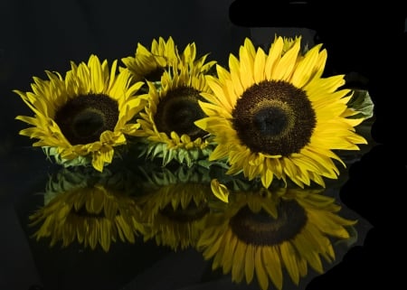 * Sunflowers * - flowers, sunflowers, flower, nature