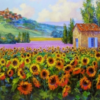 Sunflower field