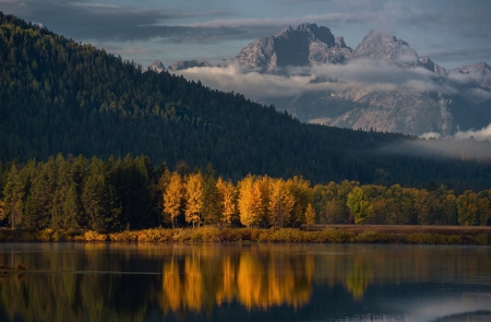 * Autumn forest * - fall, nature, autumn, lake, forest