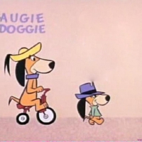 augie doggie