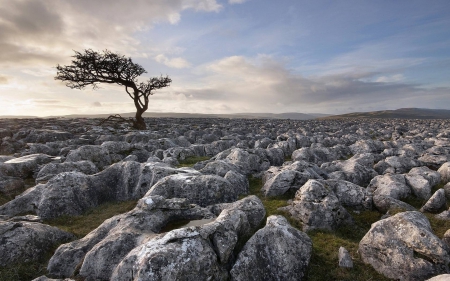 rock field - rocks, cool, field, fun, nature