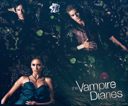 VAMPIRE DIARIES - damon, stefan, elena, vampires