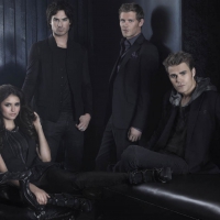 VAMPIRE DIARIES