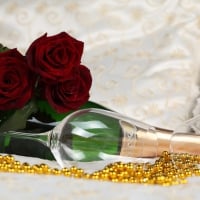 Red roses and champagne