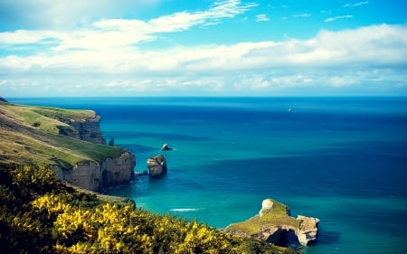 Lovely Seascape - flowers, oceans, nature, blue, sky