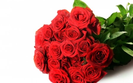 * Red Roses * - flowers, flower, roses, nature