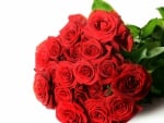 * Red Roses *