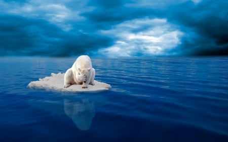 Oh, no, no, no! - water, blue, creative, bear, ice, fantasy, animal, polar, situation