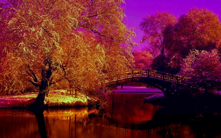 GOLDEN WINTER - trees, winter, park, golden, bridge