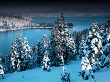 Winter Lakeside - clouds, water, evening, snow, firs, lake