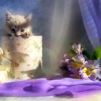 A gift for Melissa