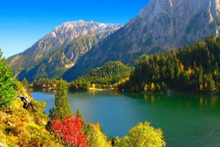 Autumn Lake - spain, lake, fall, trees, mountain, forest, beautiful, grass