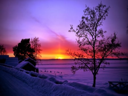 Winter Sunset - nature, trees, snow, winter, sunsets, field