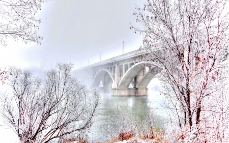 Foggy Morinng - red leaves, trees, river, bridge, foggy