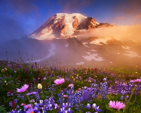 Beautiful Scenery - nature, scenery, flowers, mountain