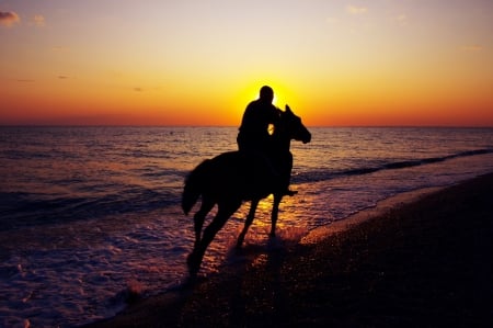 Freedom - horse, sunset, sea, man