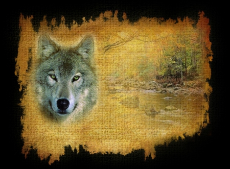 wolf - wolf, wood, black, yellow