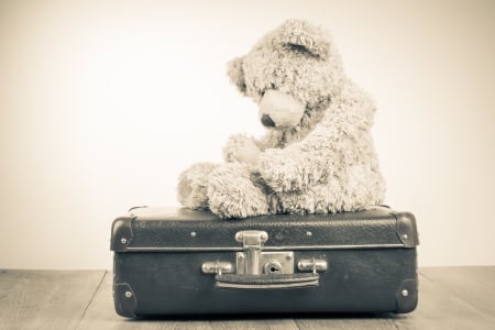 Teddy Bear - bear, teddy, lonely, vintage