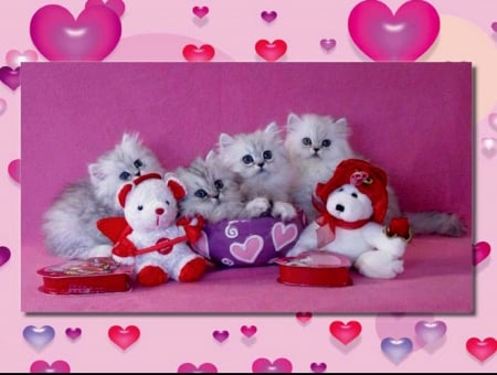 Valentine Friends - pretty, holidays, lovely, beloved valentines, kitten, February 14, cute, cats, friends, adorable, love four seasons, Valentines, hearts, animals