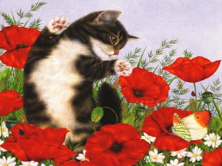 Kitty, butterfly and poppies - freshness, adorable, cat, kitty, lovely, spring, butterfly, pretty, beautiful, sweet, flowers, garden, poppies, cute