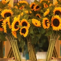 ~Î’ouquets of sunflowers~