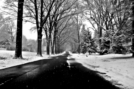 winter road - winter road, winter town, winter street, winter scene