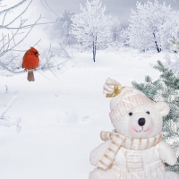 Teddy Bear Winter