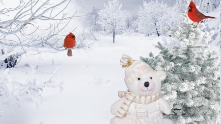 Teddy Bear Winter - cardinals, trees, birds, winter, snow, teddy bear, forest, Christmas