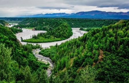 Alaska - denali, nature, view, trees, river, alaska, park