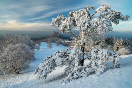 Winter - snow, lake, winter, tree