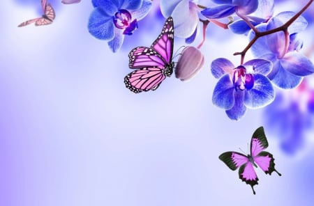 ✿⊱•╮P u r p l e╭•⊰✿ - pretty, butterflies, beautiful, colors, lovely, flowers, butterfly designs, nature, purple, orchids, love four seasons, animals