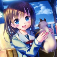 Kitty